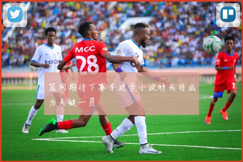 篮网期待下赛季进步小波特或将成为关键一员